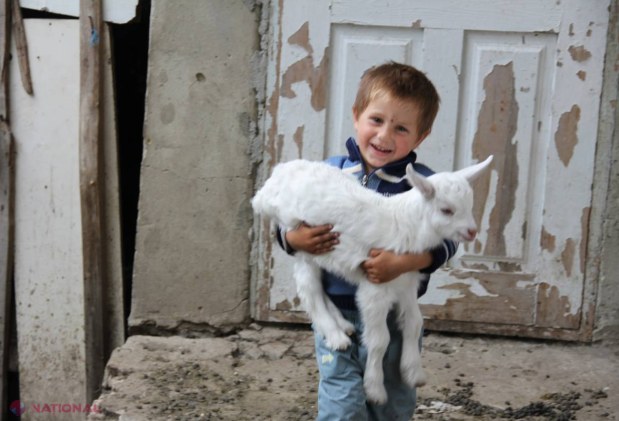 Crește numărul ADOPȚIILOR în R. Moldova 