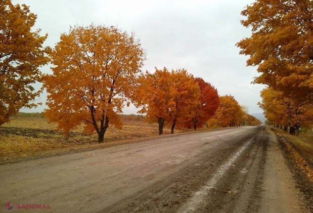 Prima zi de NOIEMBRIE! Prognozele meteorologilor pentru ultima lună de toamnă 