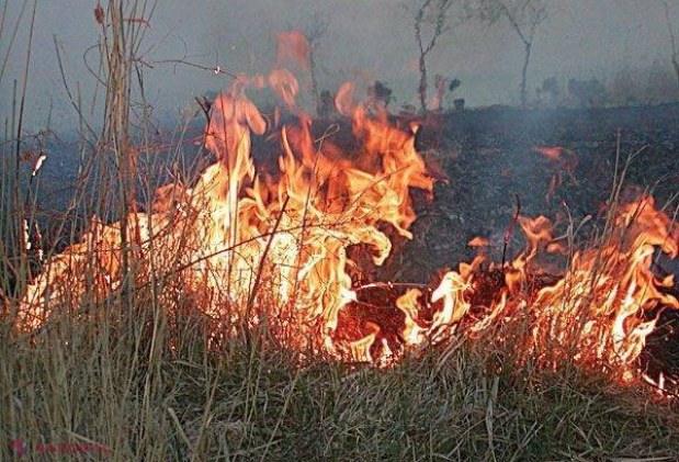 Sângera // A vrut să ardă iarba, dar și-a dat foc! 