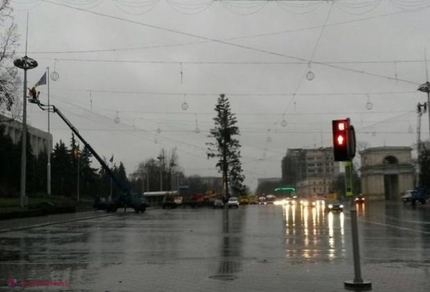 Rezultatele anchetei de serviciu privind achiziţionarea bradului de Crăciun din Ucraina sunt GATA 