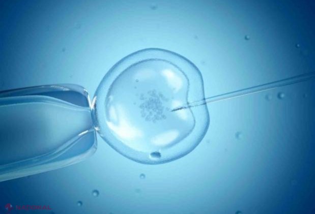 Ce trebuie să facă medicii pentru a ajuta cuplurile cu probleme să beneficieze de o procedură de fertilizare in vitro GRATUITĂ