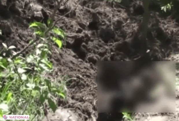 A fost omorât în februarie, iar cadavrul a fost descoperit abia acum
