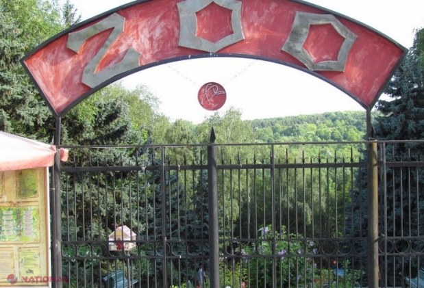 ANUNȚ: Grădina Zoologică din Chișinău, ÎNCHISĂ
