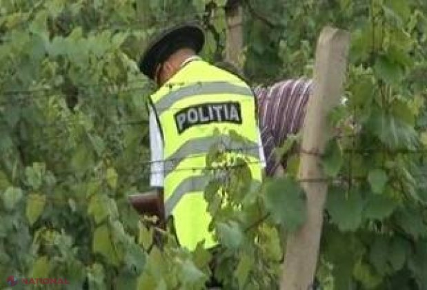 Asasinii taximetristei de la Ialoveni au fost condamnați la ani grei de închisoare