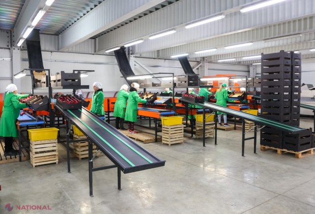 Producătorii de MERE din nordul R. Moldova nu mai mizează pe piața Federației Ruse. Dorin Recean: „Piețele europene oferă predictibilitate și oportunități pentru producătorii moldoveni”