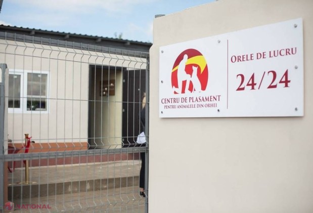 Centrul de Plasament pentru animalele fără stăpân din Orhei va fi EXTINS. Ilan Șor vrea să elibereze orașul de câinii maidanezi