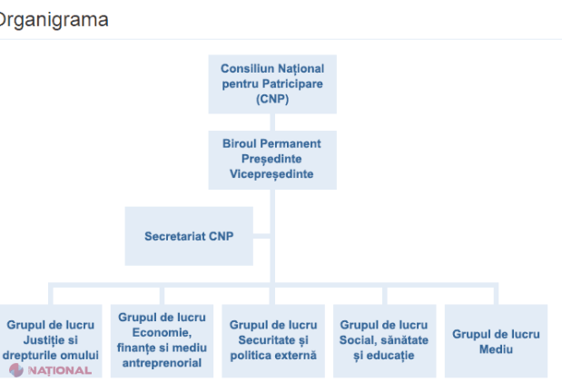 DOC // Cine sunt NOII membri ai Consiliului Național pentru Participare