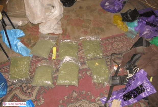 Zeci de kilograme de marijuana, depistate la domiciliile unor traficanți de droguri