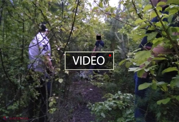 Femeie de 29 de ani, găsită MOARTĂ în pădurea de lângă Colonița: Poliția a reținut un suspect