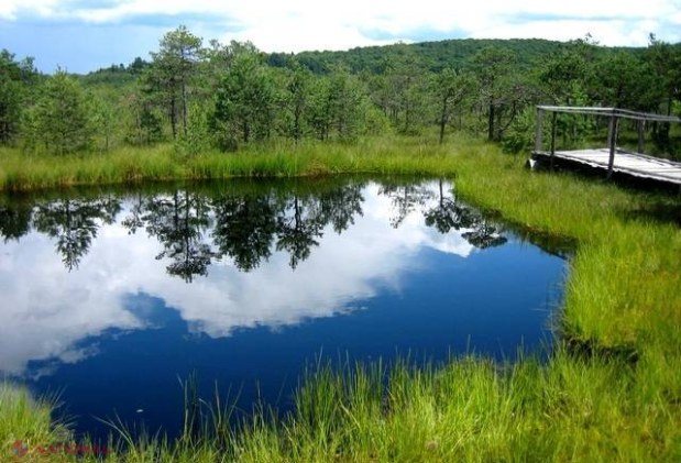 ODIHNĂ ȘI TRATAMENT // Băile Tușnad - România, o stațiune montană cu comori naturale