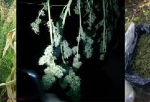 Afacere ilegală de  familie, DECONSPIRATĂ de polițiști