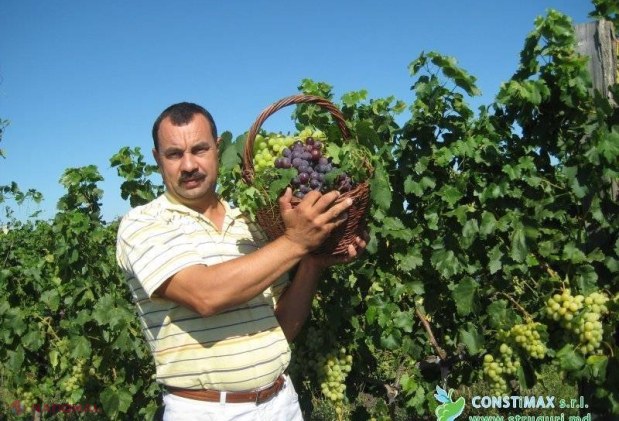 Struguri mai mulți, bani mai puțini