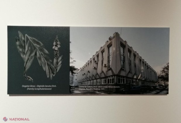 GALERIE FOTO // Plante și clădiri pe cale de DISPARIȚIE: Pledoarie pentru Cartea Roșie a arhitecturii moderniste, la MNAM
