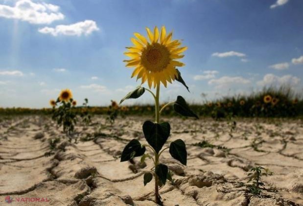 Meteorologii fac prognoze SUMBRE. Ce se va întâmpla în Chișinău, Strășeni și alte regiuni
