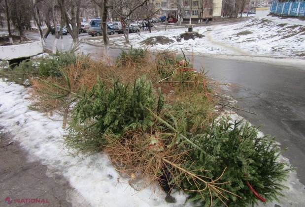 Primăria Chișinău strânge BRAZII care au împodobit casele locuitorilor capitalei de sărbători. Ce intenționează să facă