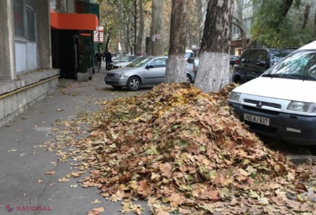 Locuitorii Chișinăului, îndemnați să iasă sâmbătă la STRÂNS FRUNZELE din oraș