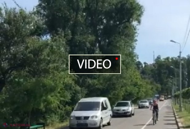 VIDEO // NESIMȚIRE: Cu mașinile, prin PARCUL „Valea Morilor”, unde acest lucru este INTERZIS