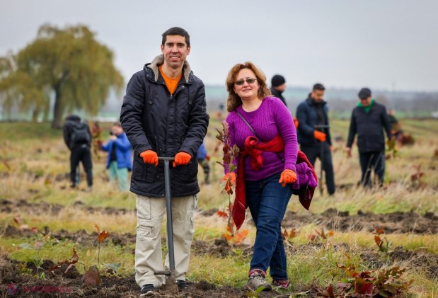 GENERAȚIA PĂDURII // Peste 600 de angajați ai Guvernului au sădit 200 de mii de puieți într-o singură zi, la Orhei