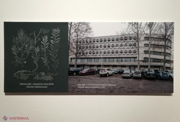 GALERIE FOTO // Plante și clădiri pe cale de DISPARIȚIE: Pledoarie pentru Cartea Roșie a arhitecturii moderniste, la MNAM
