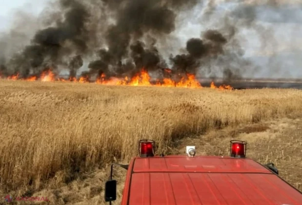 ULTIMA ORĂ // O nouă dronă căzută în R. Moldova a provocat un INCENDIU la Rîșcani. Patru focare de foc într-un lan de floarea-soarelui!