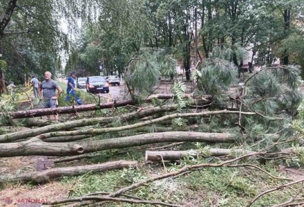 FOTO Acoperișuri smulse și arbori doborâți în nordul țării. Salvatorii au intervenit în mai multe localități după ploaia cu vânt și grindină
