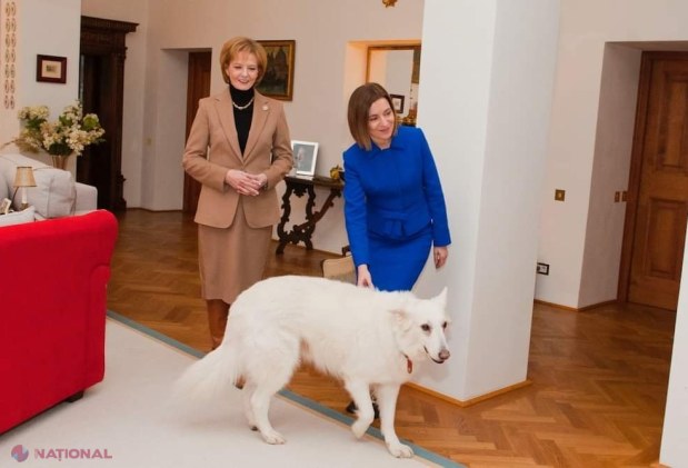 GALERIE FOTO // Preşedinta Maia Sandu, oaspetele Casei Regale din România: A plantat un stejar şi a semnat în Cartea de Aur