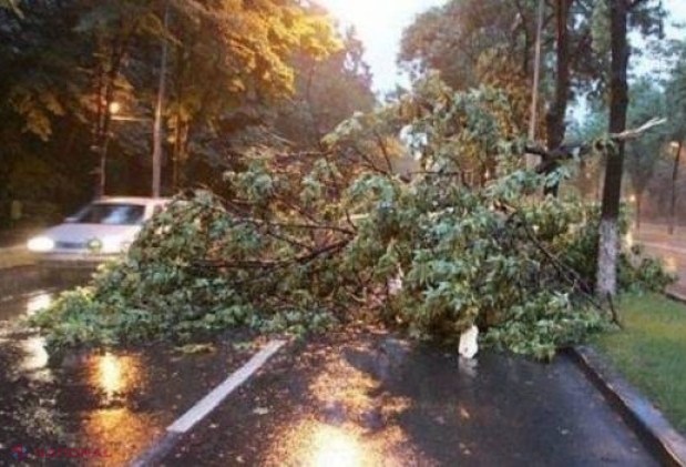 Ploile din noaptea trecută au făcut RAVAGII în mai multe localități din R. Moldova