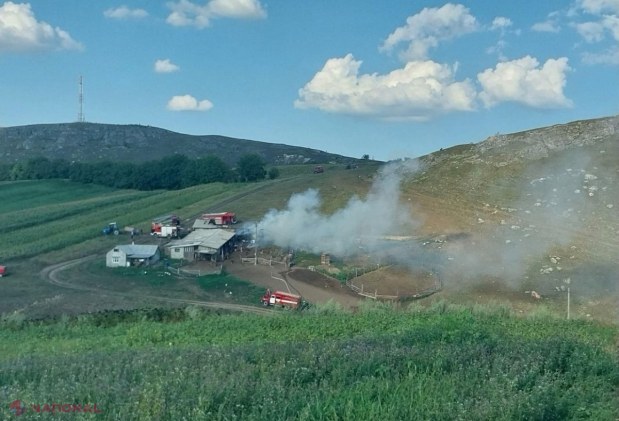 Furajele depozitate într-o stână de la Briceni, mistuite într-un incendiu: Cele 200 de oi și 50 de găini, salvate de pompieri