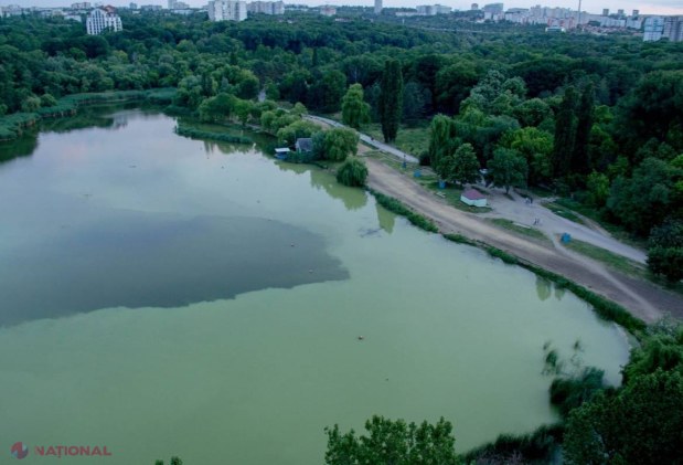 FOTO // Lacurile din Valea Trandafirilor se transformă în MLAȘTINĂ
