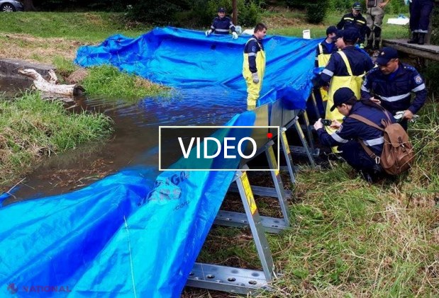 VIDEO // Un BARAJ mobil care ajută la prevenirea INUNDAȚIILOR urmează să ajungă în R. Moldova: Salvatorii moldoveni, învățați de colegii cehi cum să-l folosească