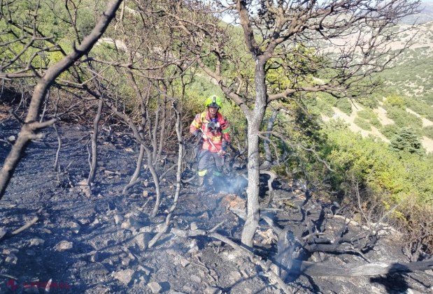 FOTO Intervenții ale pompierilor moldoveni plecați în Grecia. Aceștia au desfășurat o nouă misiune de lichidare a incendiilor de vegetație