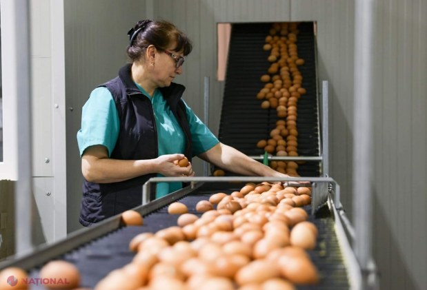 Dorin Recean, în vizită la prima fabrică avicolă care a obținut dreptul de a exporta ouă în UE: ,,Felicit întreaga echipă pentru această reușită importantă. Împreună, reușim să construim Europa acasă