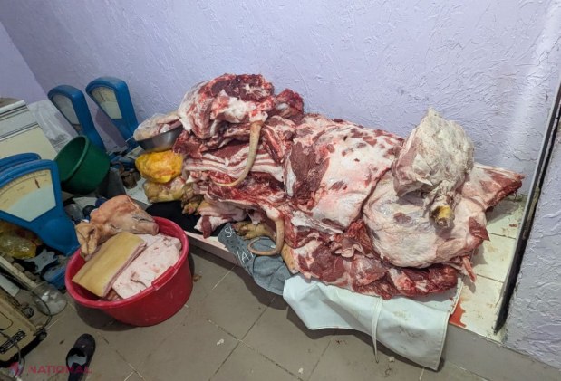Măsuri drastice împotriva răspândirii pestei porcine și comerțului ilicit de carne în R. Moldova