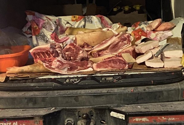 Măsuri drastice împotriva răspândirii pestei porcine și comerțului ilicit de carne în R. Moldova