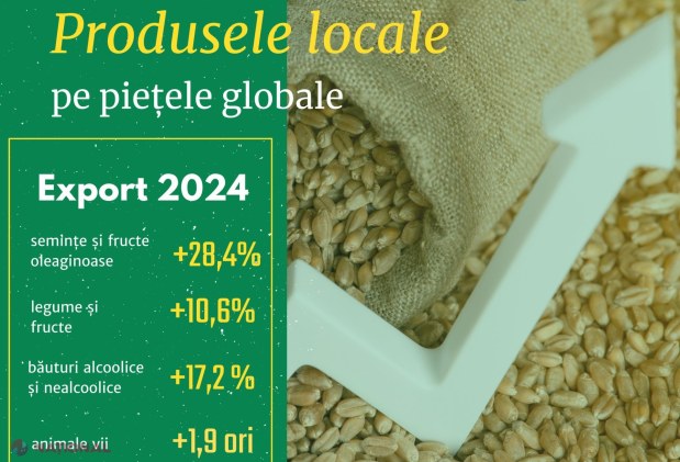 Creștere remarcabilă a exporturilor agricole moldovenești în 2024: Fermierii și procesatorii, ambasadorii gustului național!