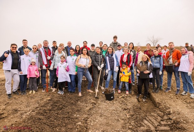 Mii de voluntari plantează 130.000 de puieți în Anenii Noi pentru reabilitarea fondului forestier național