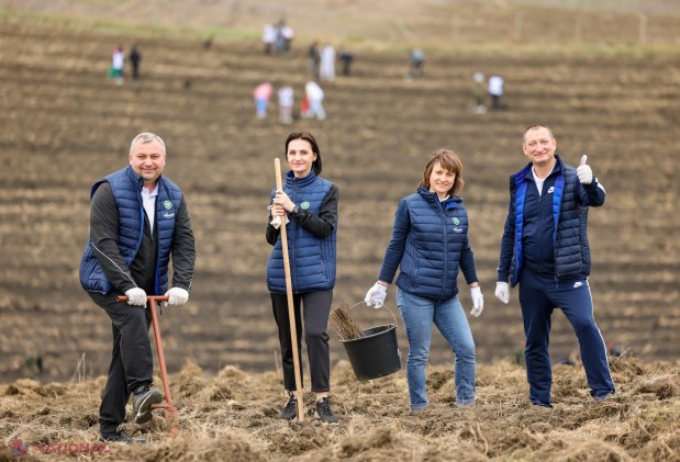 Mii de voluntari plantează 130.000 de puieți în Anenii Noi pentru reabilitarea fondului forestier național