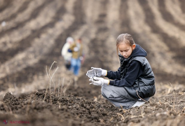 Mii de voluntari plantează 130.000 de puieți în Anenii Noi pentru reabilitarea fondului forestier național