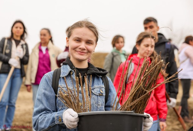 Mii de voluntari plantează 130.000 de puieți în Anenii Noi pentru reabilitarea fondului forestier național