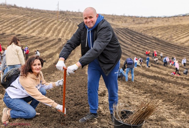 Mii de voluntari plantează 130.000 de puieți în Anenii Noi pentru reabilitarea fondului forestier național