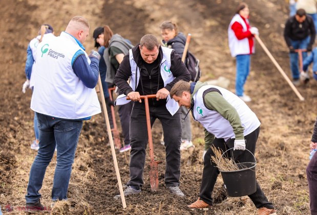 Mii de voluntari plantează 130.000 de puieți în Anenii Noi pentru reabilitarea fondului forestier național