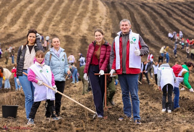 Mii de voluntari plantează 130.000 de puieți în Anenii Noi pentru reabilitarea fondului forestier național