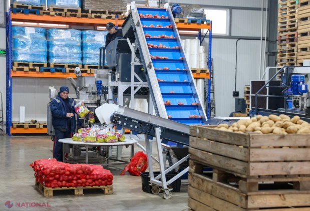 Premierul Recean încurajează antreprenoriatul la Calfa: Guvernul susține inițiativele locale cu sprijin financiar și logistic