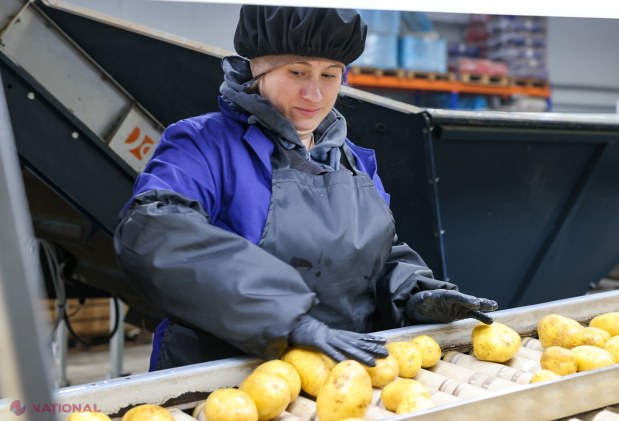 Premierul Recean încurajează antreprenoriatul la Calfa: Guvernul susține inițiativele locale cu sprijin financiar și logistic