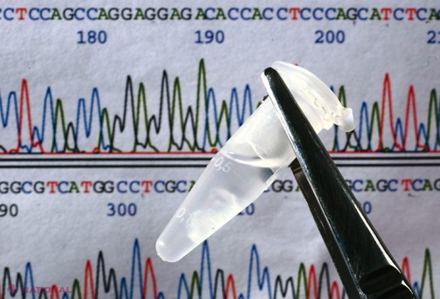 Un nou studiu aruncă lumină asupra factorilor genetici implicați în dezvoltarea autismului