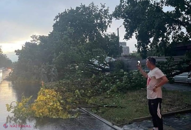 GALERIE FOTO // PLOAIE în Chișinău: Copaci scoşi din rădăcini și căzuți inclusiv pe mașini, străzi spălate de ape, acoperișuri luate de vânt sau cabluri doborâte la pământ
