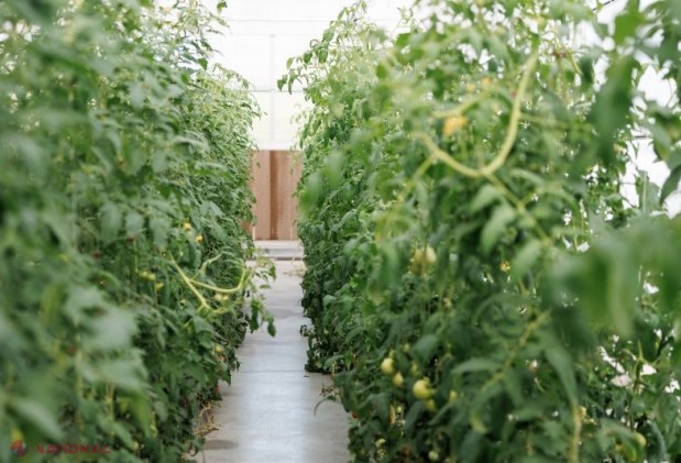 Transformări remarcabile la facultățile de științe agricole ale UTM: investiții masive și interes sporit al studenților