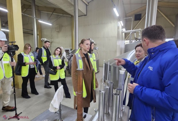 Efes Moldova investește masiv în eficiența energetică și câștigă recunoaștere la Green Award 2025 pentru transformarea sustenabilă a producției de bere