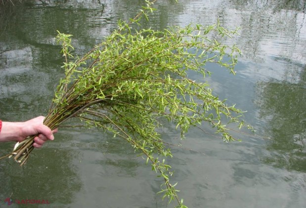 Tradiţii şi SUPESTITII în ziua de Florii 