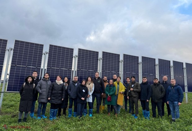 Ghid inovator pentru agricultură și energie în Moldova: Cum să îmbini eficient panourile fotovoltaice cu culturile agricole